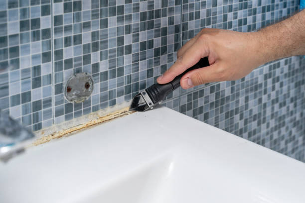 Best Mold Remediation for Specific Building Types in Mastic, NY